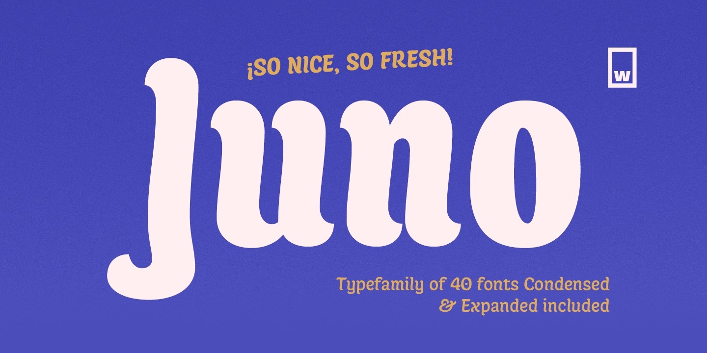 Przykładowa czcionka Juno Expanded #1